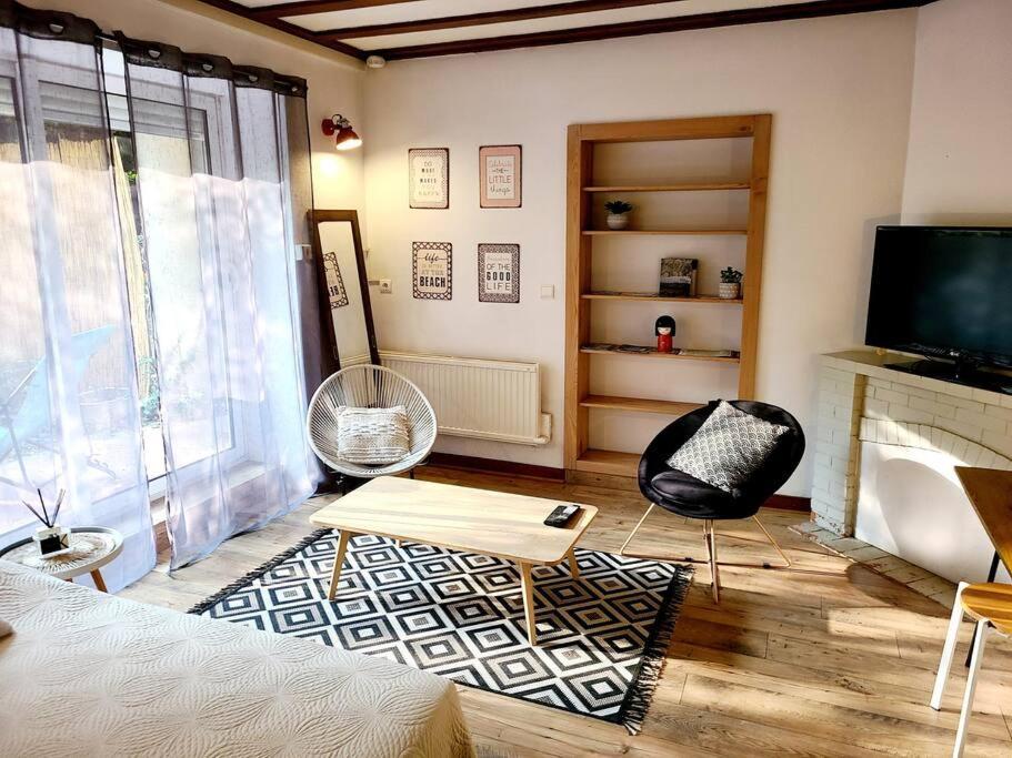Apartamento Les Bambous - Rez De Jardin Millau Centre - Parking Privatif, Wifi Exterior foto